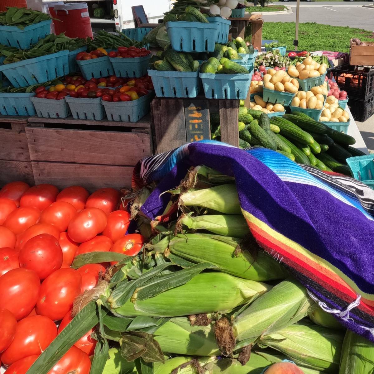 Local Markets Make Summer Shopping a Breeze Sun Realty